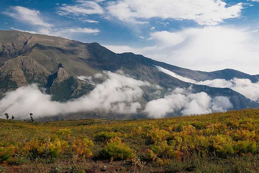 تشدید مقابله با قاچاقچیان چوب در غرب مازندران